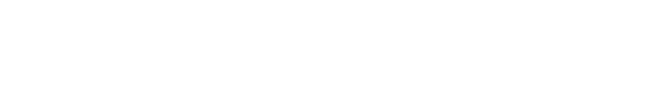 The Micros Man